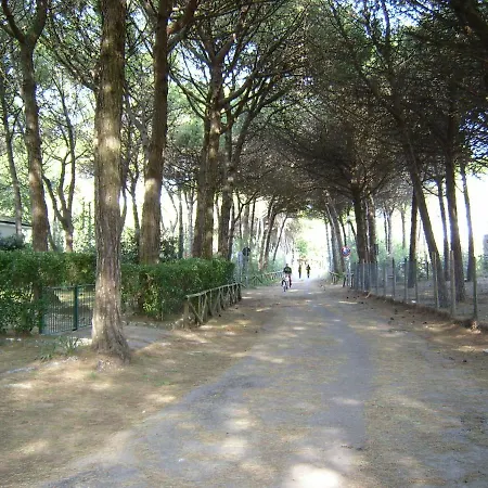 In 25804